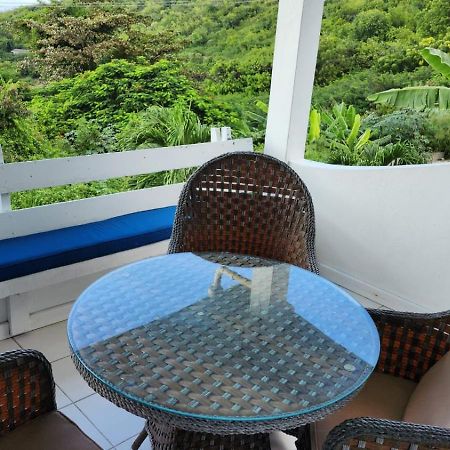 Halcyon Heights Condominium Dickenson Bay Zewnętrze zdjęcie
