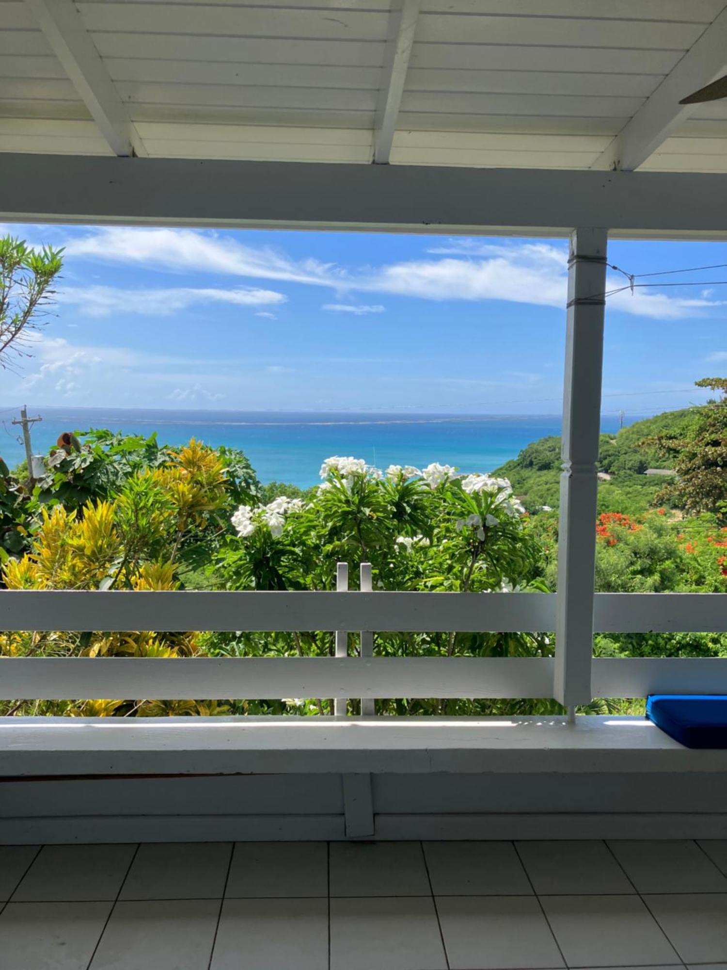 Halcyon Heights Condominium Dickenson Bay Zewnętrze zdjęcie